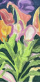 /album/still-lives/25-07-26-calla-lilies-high-summer-jpeg1/